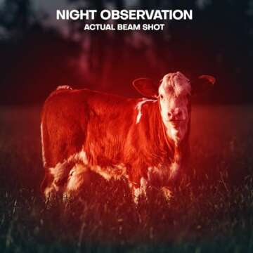 HinsGEAR 2 Pack Red Flashlight LED Single Mode Light 1 Mode LED Torch Scalable Red Light Flashlight ...