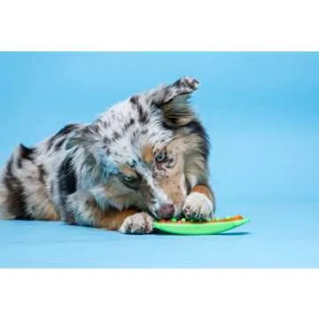 Hartz Chew 'n Clean Dental Duo Bacon Flavored Dental Dog Chew Toy and Treat - Large, Colors may vary