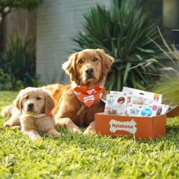 Nylabone Healthy Edibles WILD Natural Long-Lasting Bison Flavor Bone Chew Treats for Dogs, Small (16...