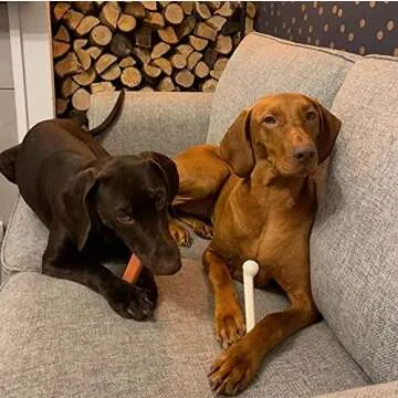 Nylabone Original Bone Power Chew Toy for Aggressive Chewers