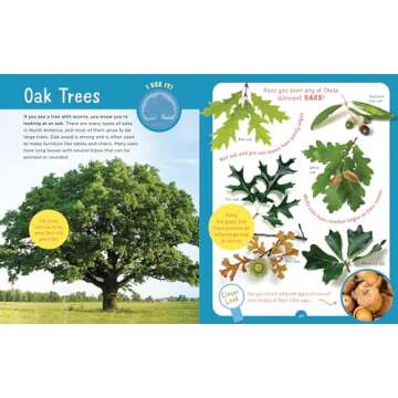 Backpack Explorer: Discovering Trees: What Will You Find?