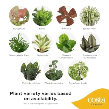 Costa Farms Mini Houseplants - 6 Pack of Easy Grow Greens