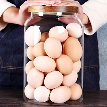 Stylish SAIOOL Egg Jar for Fresh Food Storage