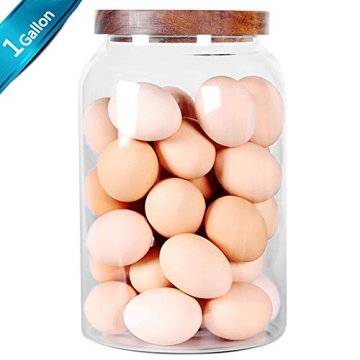 Stylish SAIOOL Egg Jar for Fresh Food Storage
