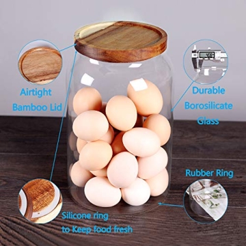 Stylish SAIOOL Egg Jar for Fresh Food Storage