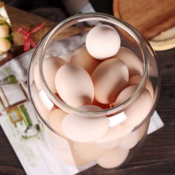 Stylish SAIOOL Egg Jar for Fresh Food Storage