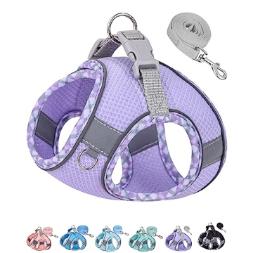 Petank Dog Harness for Small Medium Dogs No Pull, Puppy Harness and Leash Set, Easy Walk Dog Harness...
