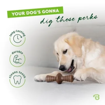 Benebone Zaggler Dog Chew Toy for Aggressive Chewers