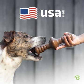 Benebone Zaggler Dog Chew Toy for Aggressive Chewers