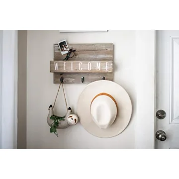 Unique Sloth Planter for Garden Lovers and Gifts