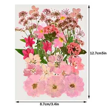 Natural Dried Flowers Mixed Multi-Color Pressed Flower Mini Rose Hydrangea Daisy for Art Craft DIY R...