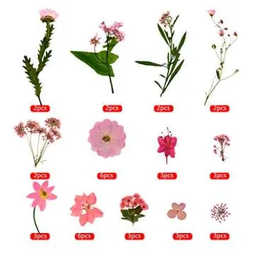 Natural Dried Flowers Mixed Multi-Color Pressed Flower Mini Rose Hydrangea Daisy for Art Craft DIY Resin Nail Art Floral Decors (Pink)