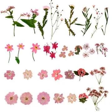 Natural Dried Flowers Mixed Multi-Color Pressed Flower Mini Rose Hydrangea Daisy for Art Craft DIY Resin Nail Art Floral Decors (Pink)