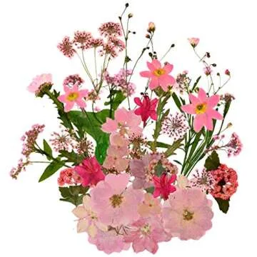 Natural Dried Flowers Mixed Multi-Color Pressed Flower Mini Rose Hydrangea Daisy for Art Craft DIY Resin Nail Art Floral Decors (Pink)