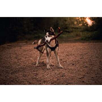 OneTigris Tactical Dog Harness Vest with Handle, Military Dog Harness for Large Medium Dogs,FIRE Wat...