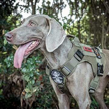 OneTigris Tactical Dog Harness Vest with Handle, Military Dog Harness for Large Medium Dogs,FIRE Watcher 2.0 No-Pull Service Dog Vest,Adjustable Dog Vest Harness for Walking Hiking Training(L,Green)