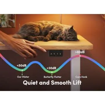 FEZIBO Electric Standing Desk, 55 x 24 Inches Height Adjustable Stand up Desk, Sit Stand Home Office Desk, Computer Desk, Maple