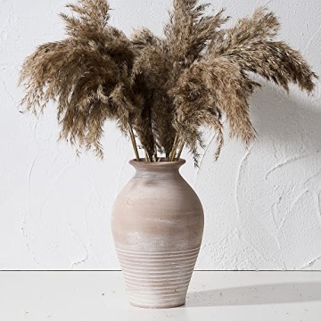 LUKA Ceramic Rustic Farmhouse Vase, 9.2 inch Whitewashed Terracotta Vase, Pottery Decorative Flower ...