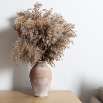 LUKA Ceramic Rustic Farmhouse Vase, 9.2 inch Whitewashed Terracotta Vase, Pottery Decorative Flower Vase,Clay Decorative Vases for Home Decor, Table, Living Room, Shelf, Mantel Decoration