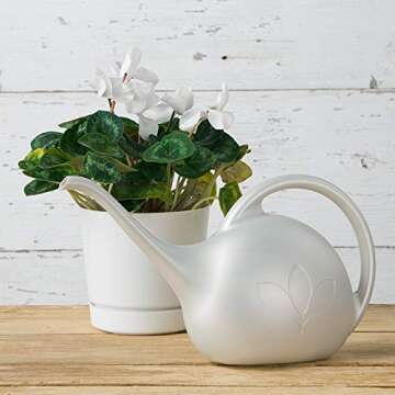 Novelty 30602, Pearl Indoor Watering Can, 1/2 Gallon
