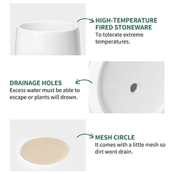 Stylish POTEY Ceramic Pots for Indoor Plants 5.7 Inch Pots