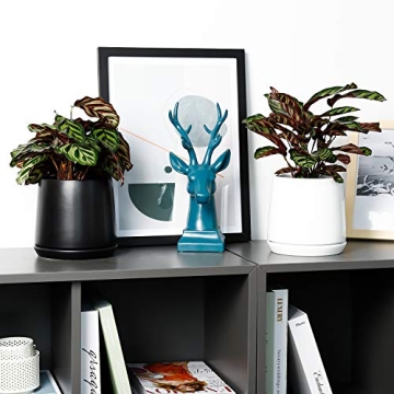 Stylish POTEY Ceramic Pots for Indoor Plants 5.7 Inch Pots