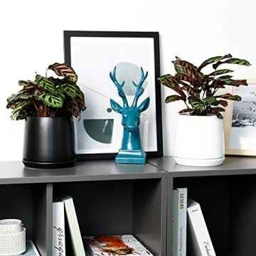 Stylish POTEY Ceramic Pots for Indoor Plants 5.7 Inch Pots