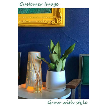 Stylish POTEY Ceramic Pots for Indoor Plants 5.7 Inch Pots