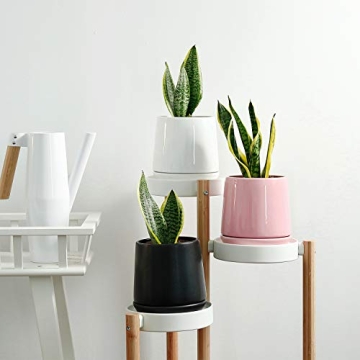 Stylish POTEY Ceramic Pots for Indoor Plants 5.7 Inch Pots
