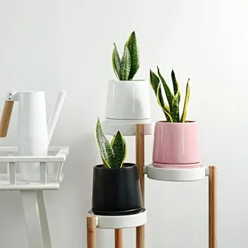 Stylish POTEY Ceramic Pots for Indoor Plants 5.7 Inch Pots