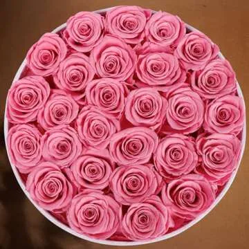 Elegant 27 Roses in a Suede Box Gift for Her