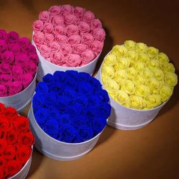 Elegant 27 Roses in a Suede Box Gift for Her