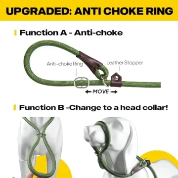 Fida 6 FT Slip Lead for Effective Pet Training and Walking