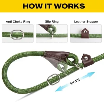 Fida 6 FT Slip Lead for Effective Pet Training and Walking