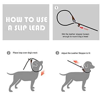 Fida 6 FT Slip Lead for Effective Pet Training and Walking