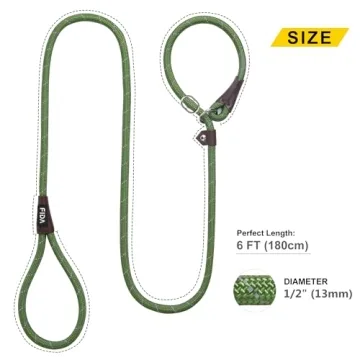 Fida 6 FT Slip Lead for Effective Pet Training and Walking