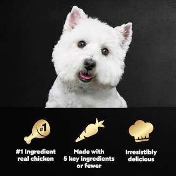 CESAR SIMPLY CRAFTED 8-Pack Dog Food Topper Variety Pack