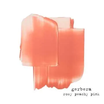 stila Convertible Color Dual Lip And Cheek Cream Brighten Face with Sheer Tint & Radiant Color Compact Non-Greasy Makeup