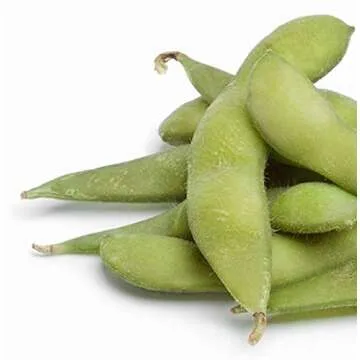 Color Pigment Set - Custom Mixing for Artistic Expression