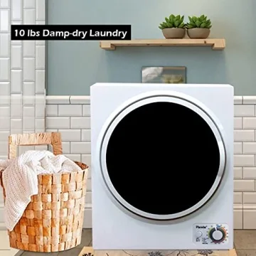 Portable 110V 850W Laundry Dryer for Apartments