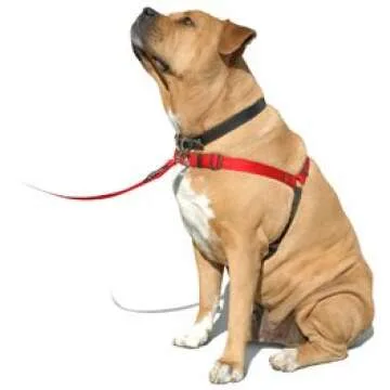 Sense-ation No-Pull Dog Harness - Green with Black Medium/Large Wide
