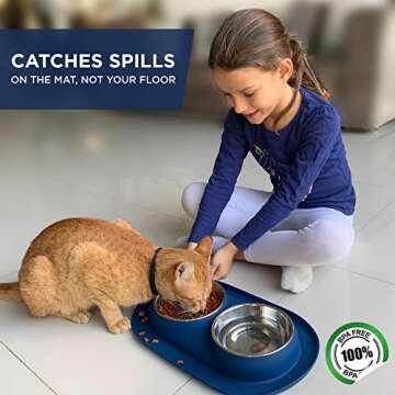 Bonza Cat or Small Dog Bowls with Spill-Proof Mat, 12 oz Stainless Steel Feeding Dishes