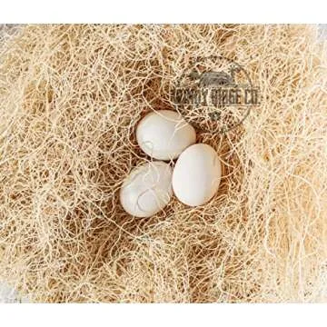 Windy Ridge Co. Natural Chicken Nesting Pads - 10 Pack - Aspen Excelsior Bedding Hen Nest Box Liners - USA Made - 13" x 13"