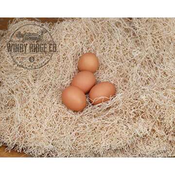 Windy Ridge Co. Natural Chicken Nesting Pads - 10 Pack - Aspen Excelsior Bedding Hen Nest Box Liners - USA Made - 13" x 13"