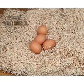 Windy Ridge Co. Natural Chicken Nesting Pads - 10 Pack - Aspen Excelsior Bedding Hen Nest Box Liners - USA Made - 13" x 13"