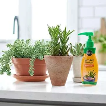 Miracle-Gro Succulent Plant Food for Indoor Plants