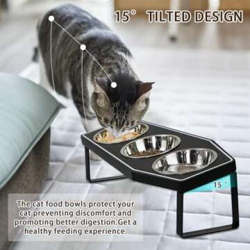 Gothic Cat Food Bowls Elevated, Raised Cat Bowls for Indoor, Non-Slip Stand & Wood Board, Stainless Steel and Whisker Friendly Food Bowls (Cat Bowl*3)