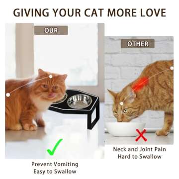Gothic Cat Food Bowls Elevated, Raised Cat Bowls for Indoor, Non-Slip Stand & Wood Board, Stainless Steel and Whisker Friendly Food Bowls (Cat Bowl*3)
