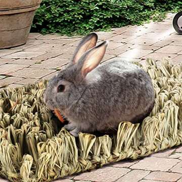 Hamiledyi Rabbit Grass Bed - Natural Chewable Mat for Pets