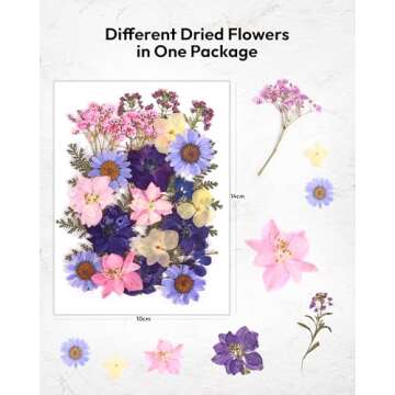 Resiners Dried Pressed Flowers Kit for Crafts and Scrapbooking